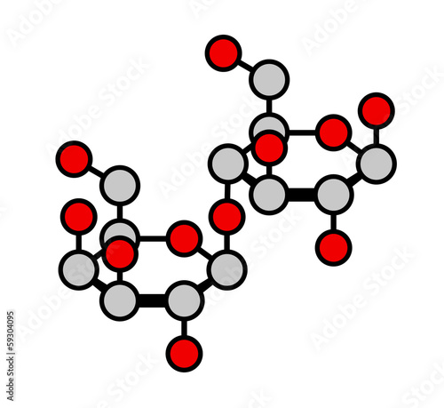 Lactose milk sugar molecule, Haworth-like projection.