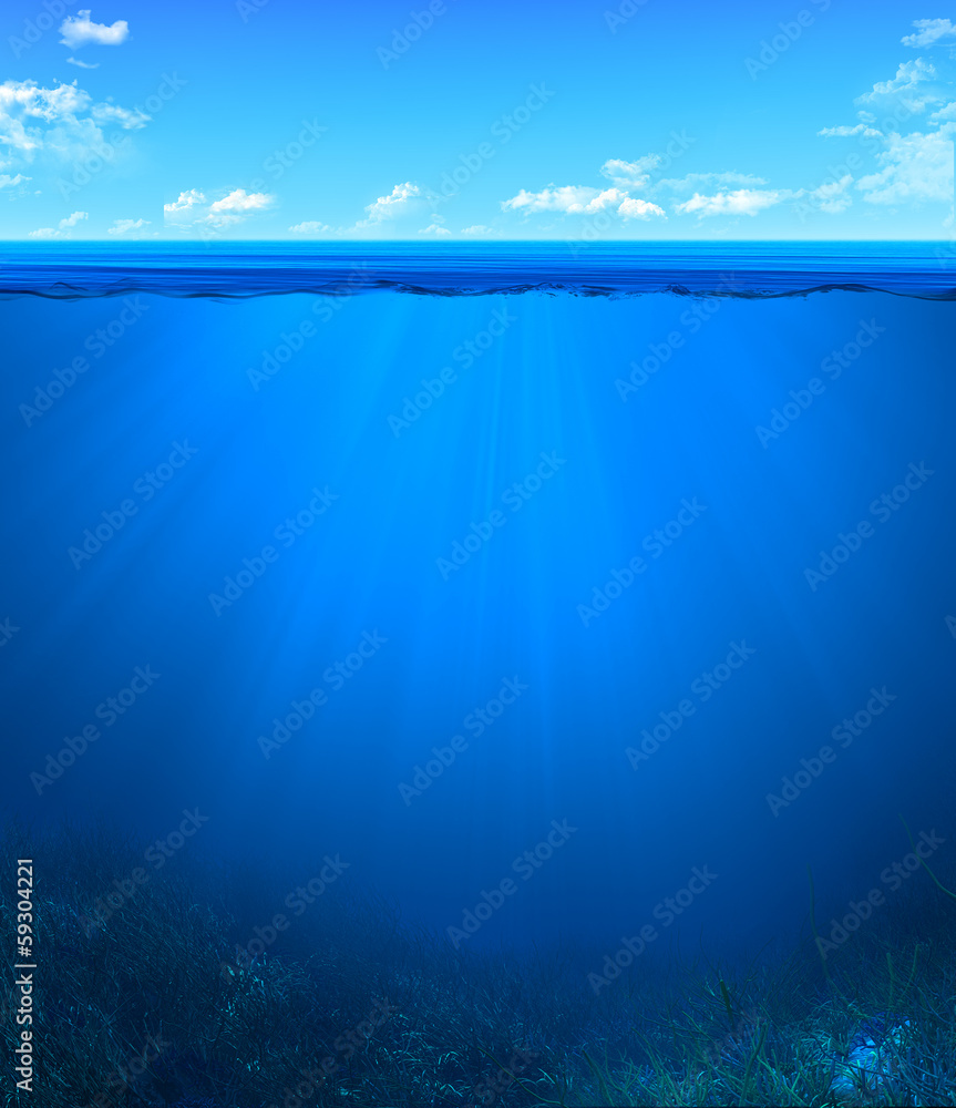 Fototapeta premium underwater landscape