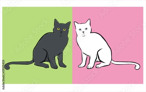 dos gatos