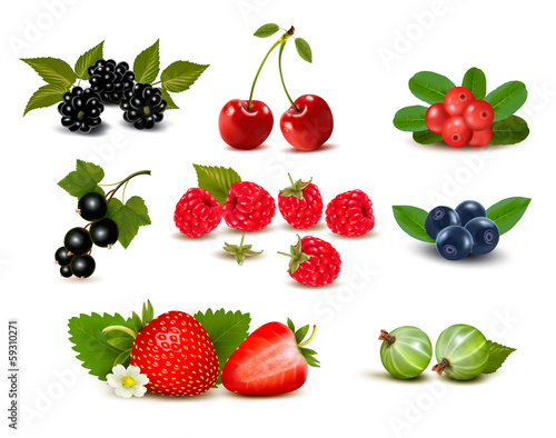 Big group of fresh berries and cherries. Vector illustration