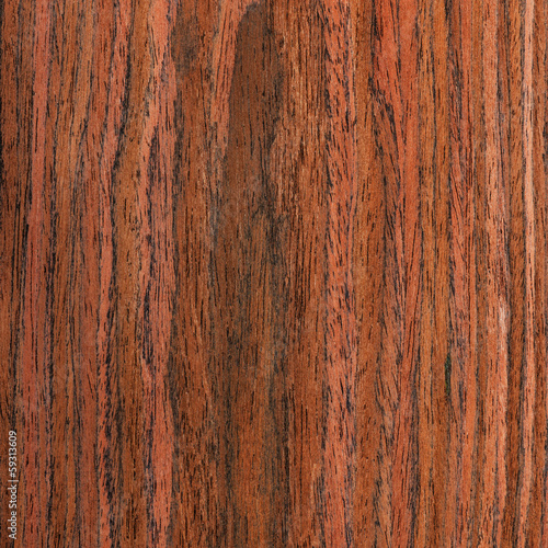 texture wenge tree, wood grain