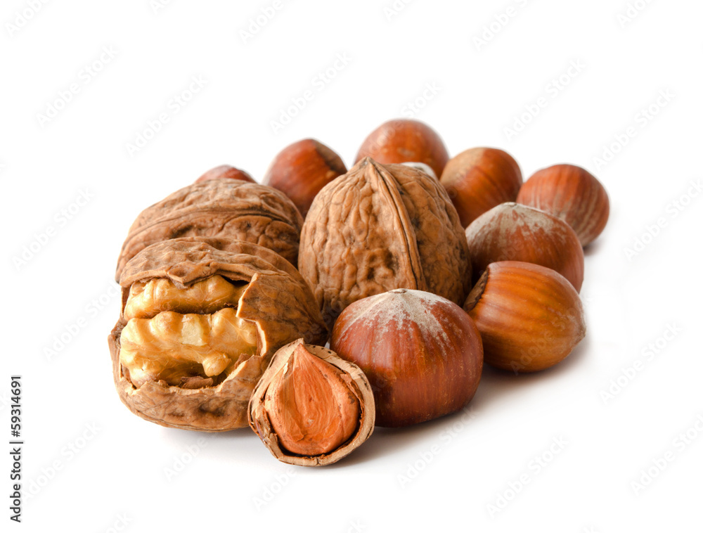 Walnüsse & Haselnüsse Walnüsse & Haselnüsse