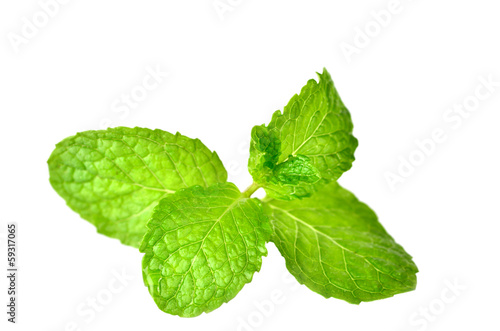 Fresh mint close up isolated