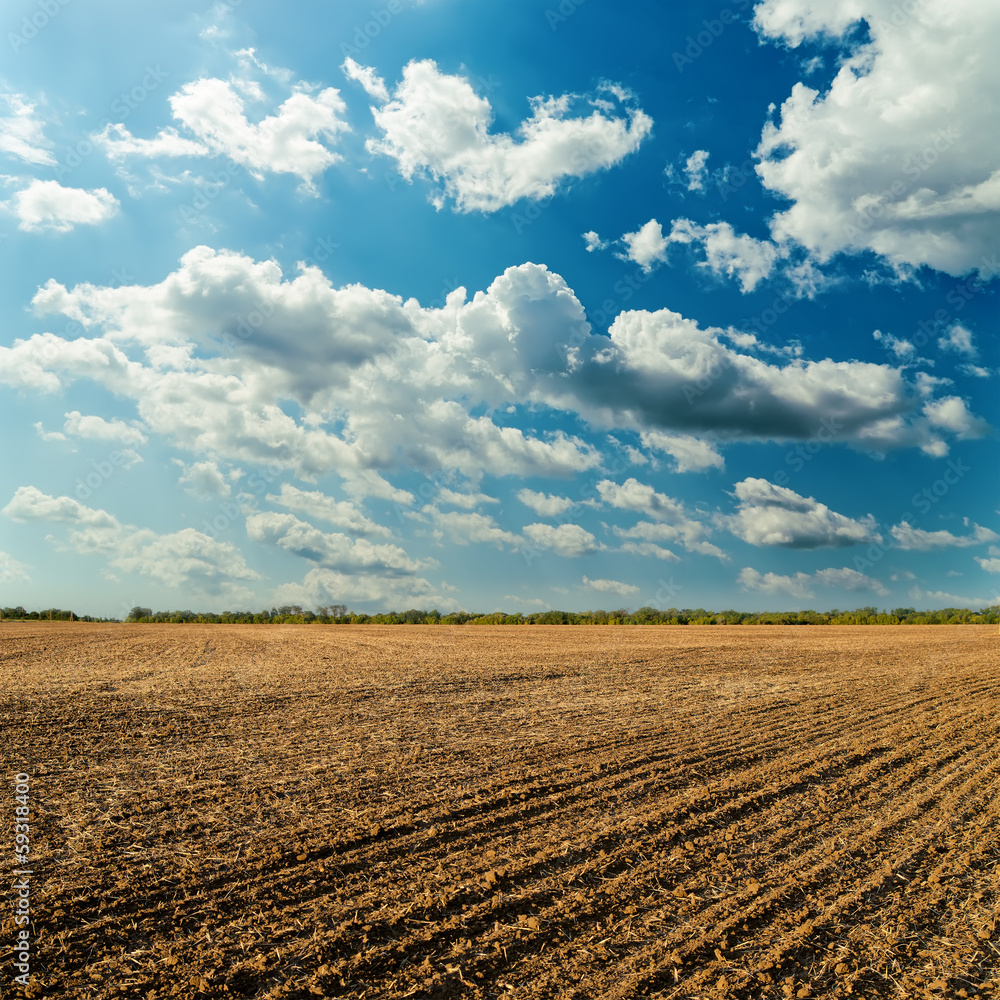 plowed field and cloudy sky in sunset