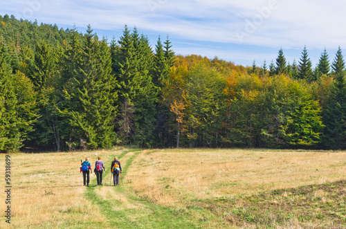 Hiking thru meadows and colorfull forests of mount Bobija © banepetkovic