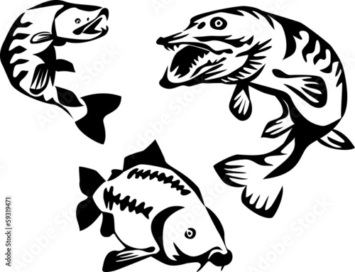 stylized trout pike and carp