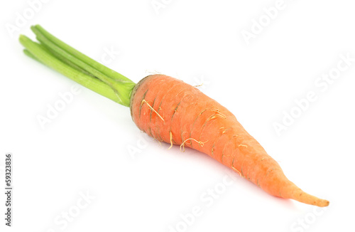 Carrot with leaf