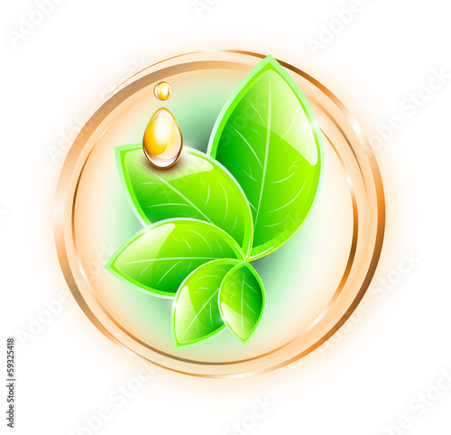 Green plant with oil drop in rings