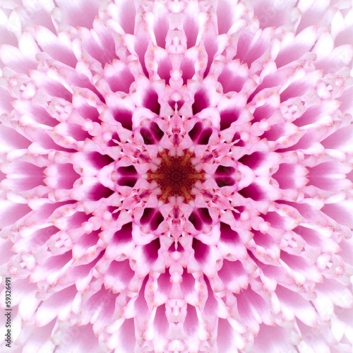 Pink Concentric Flower Center. Mandala Kaleidoscopic design