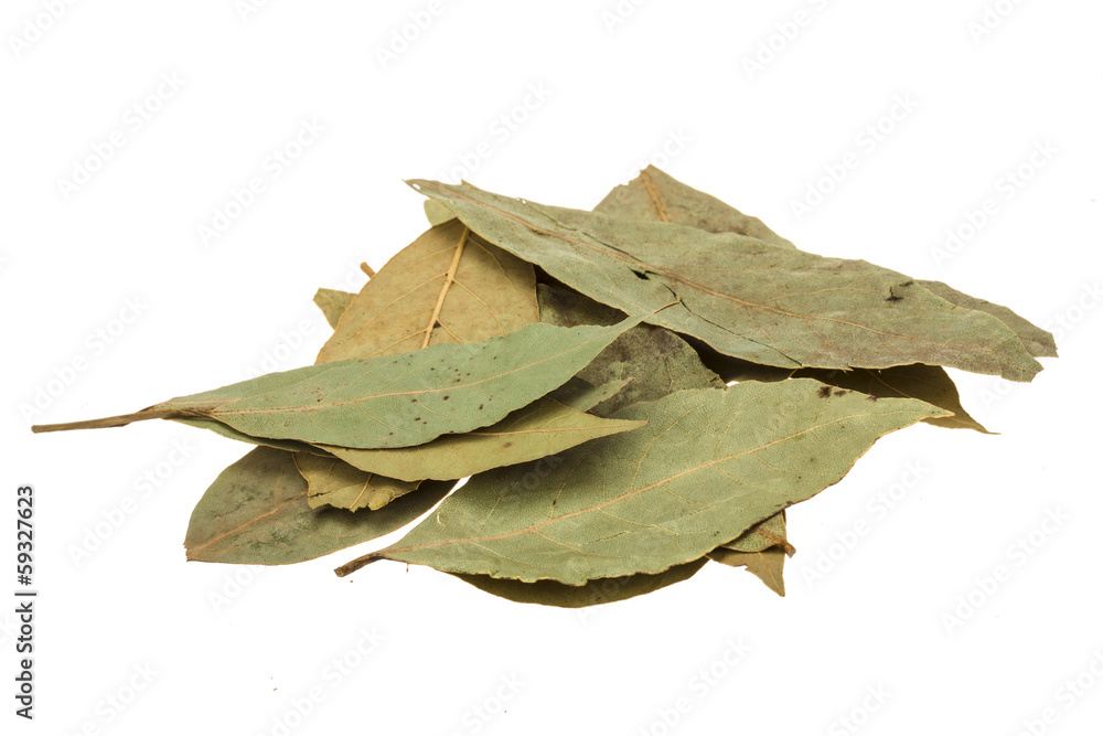Fototapeta premium Laurel leaves