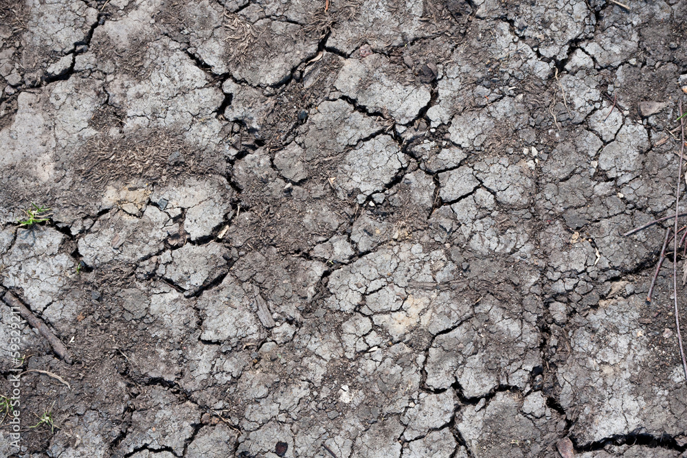 Dry land Dry land