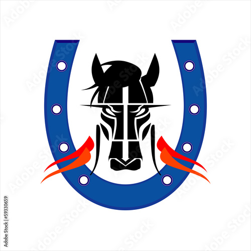 hairy black wild horse & horseshoe