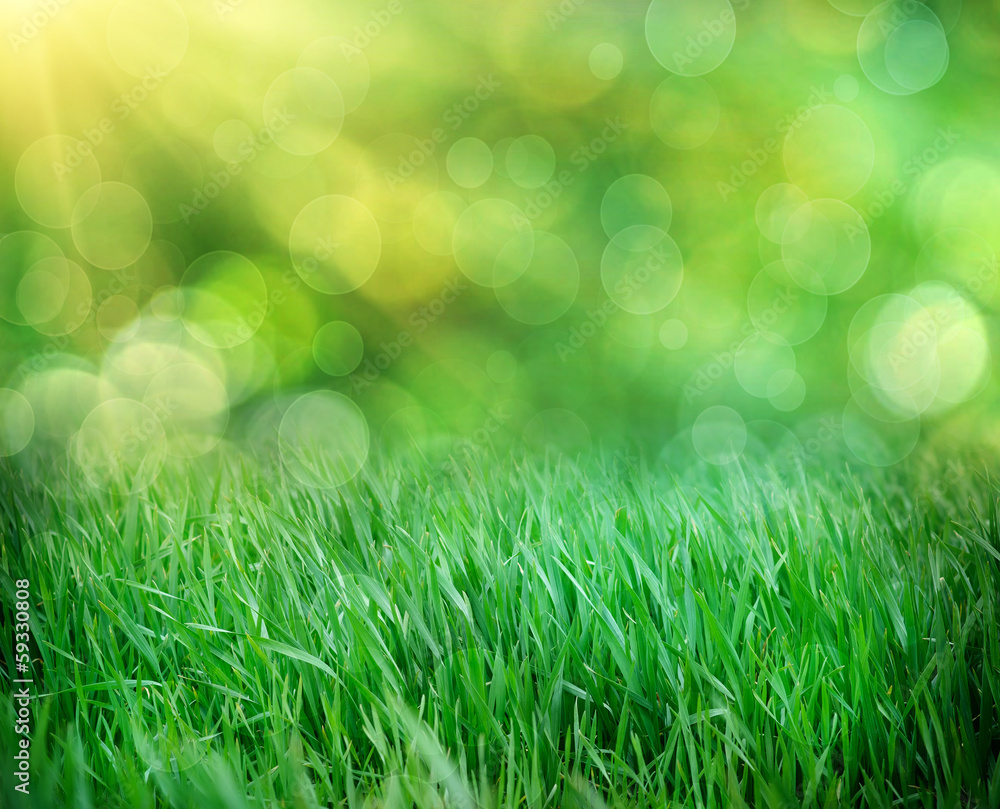 fresh spring grass with drops on defocused light background.