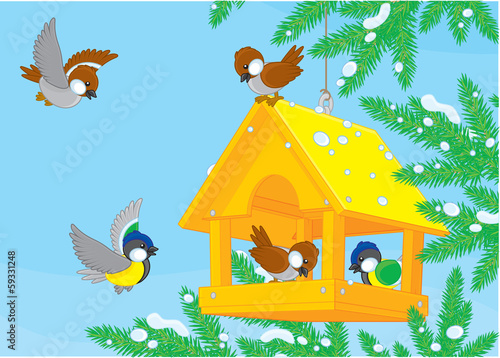 Titmice and sparrows around a birdfeeder