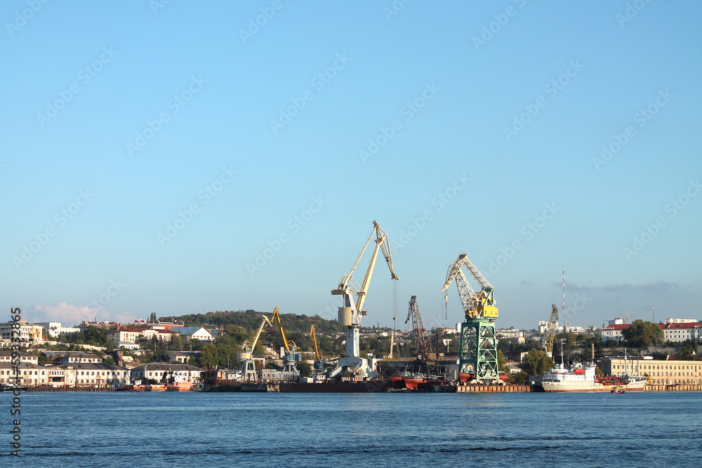 Cargo sea port, cranes panorama