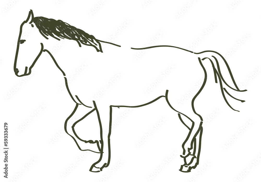 Obraz premium hand drawn horse