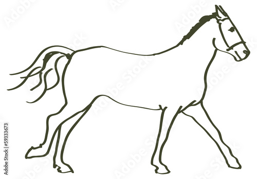 hand drawn horse