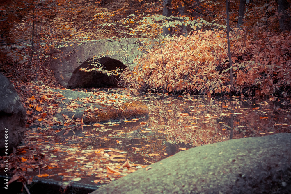 Fototapeta premium Autumn. Composition of nature.