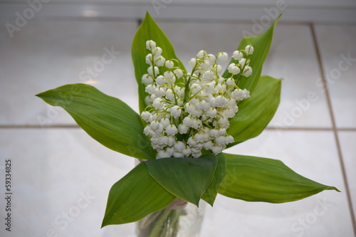 lily of the valley