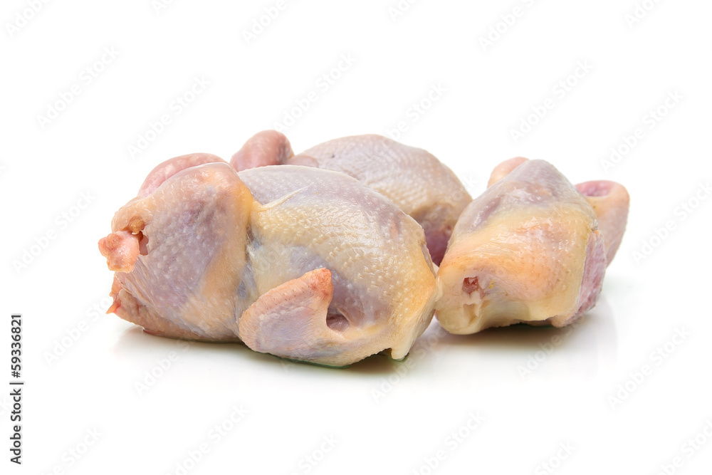 quail carcass closeup on a white background. quail carcass closeup on a white background.