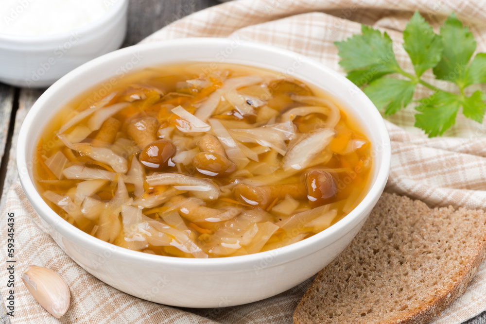 traditional Russian cabbage soup (shchi) with wild mushrooms traditional Russian cabbage soup (shchi) with wild mushrooms