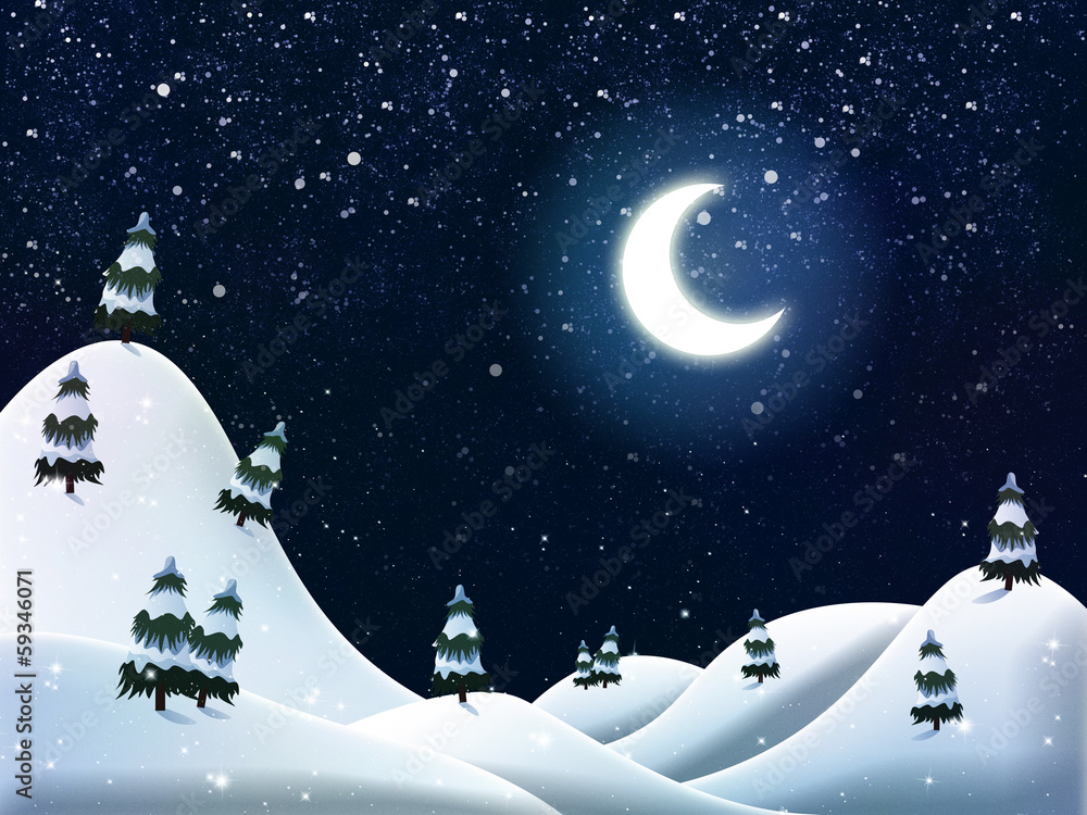 Fototapeta premium Beautiful winter night