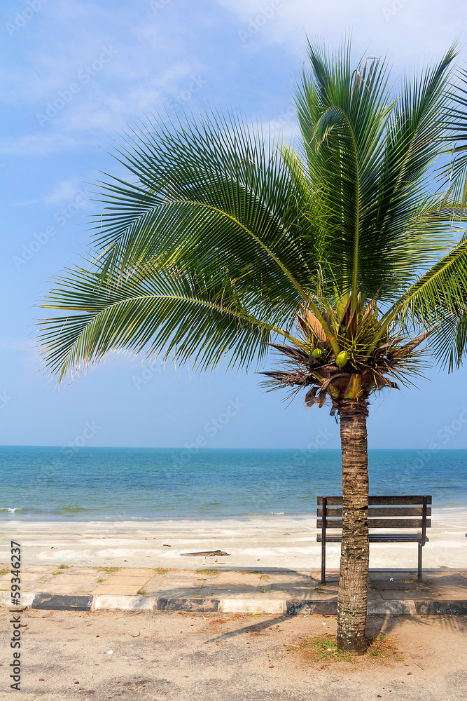 Obraz premium Bench near beach with green coconut tree