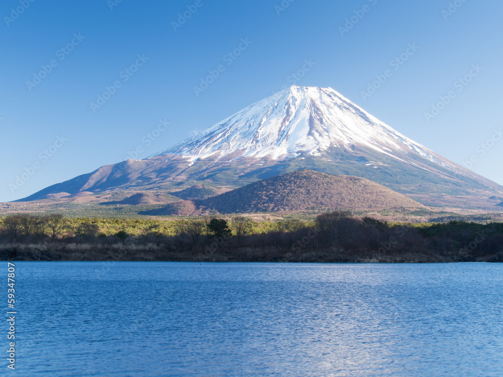 精進湖畔からの子抱き富士