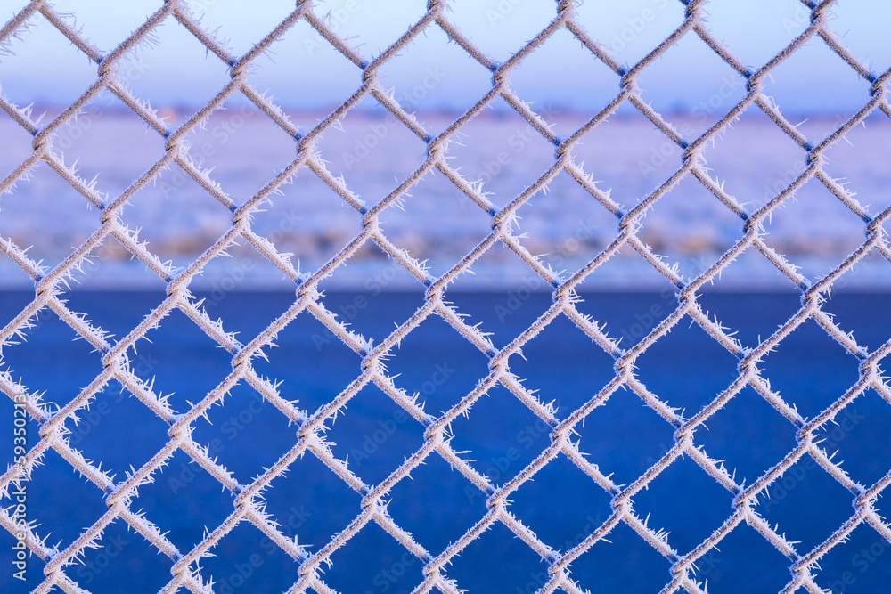 Fototapeta premium Eiskristalle