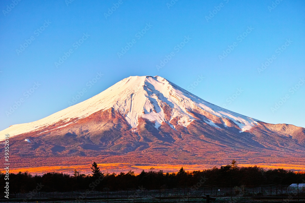 朝日を浴びた富士山