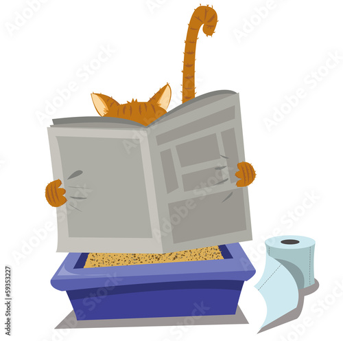 Cat and Litterbox