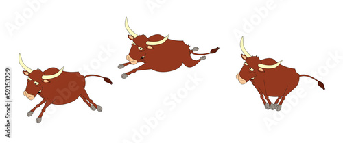 bull running