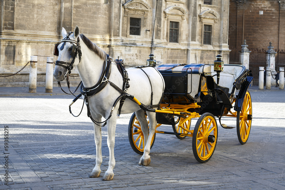 White horse and traditional tourist carriage in Sevilla