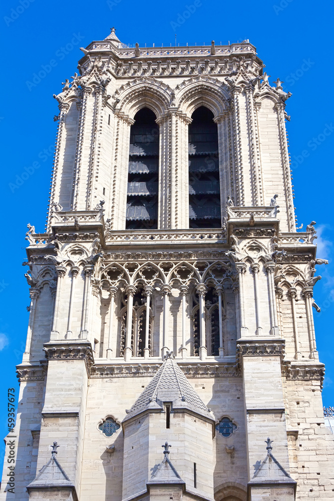 Fototapeta premium Notre Dame de Paris