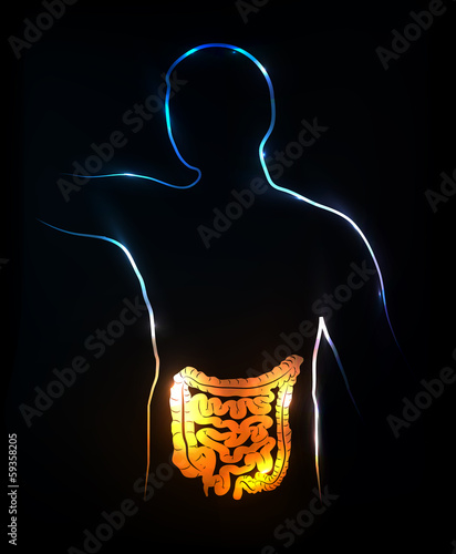 Colon and intestines. Abstract medical illustration, background.
