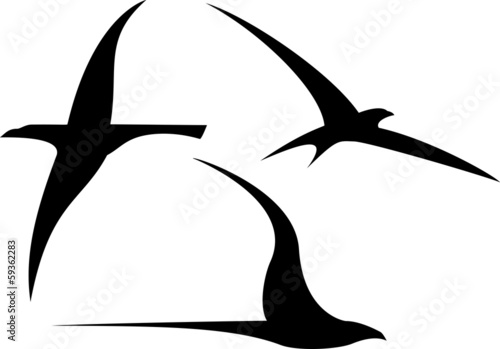 Set of Streamlined Birds