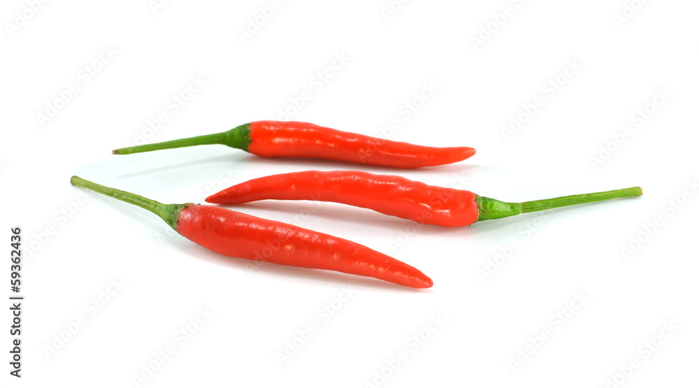 Hot red chili or chili pepper isolated on white background.
