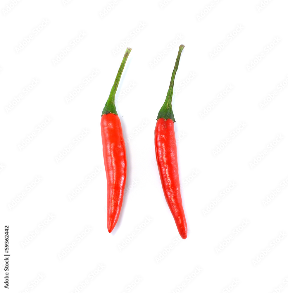 Hot red chili or chilli pepper isolated on white background.