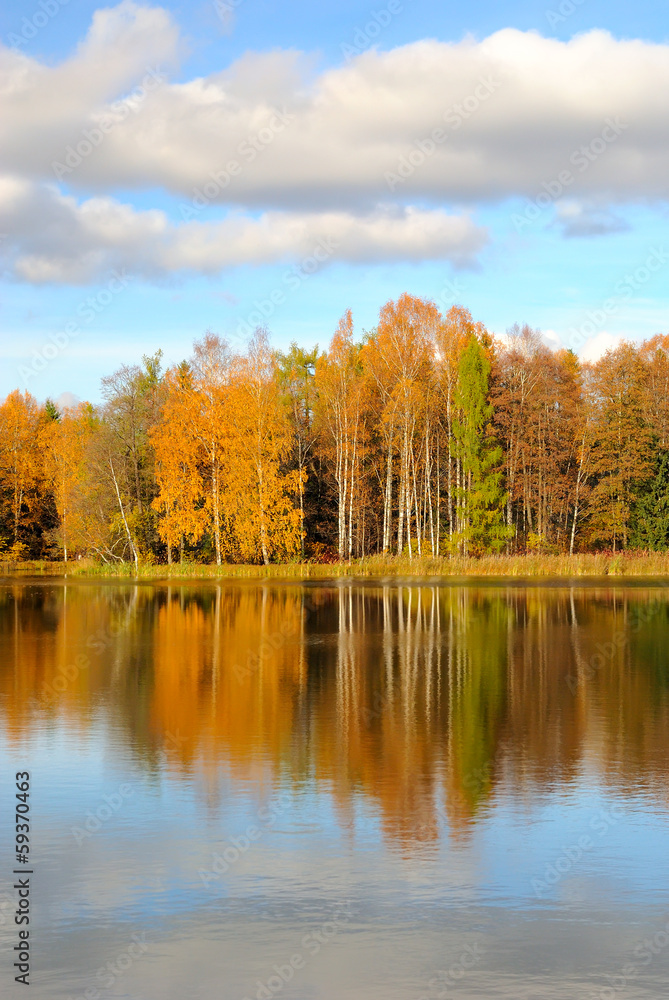 Autumn trees on the lake