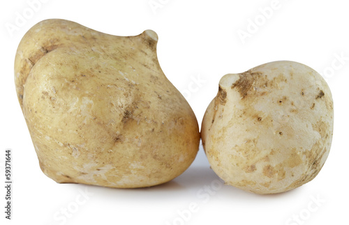 jicama on white background