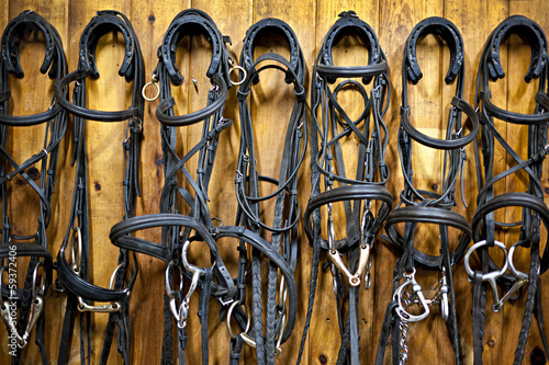 Canvas Print Horse bridles hanging in stable