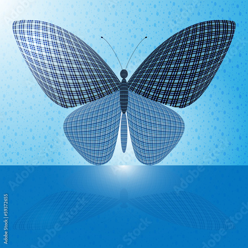 butterfly on the wall and its reflection