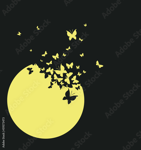 Moon and butterflies