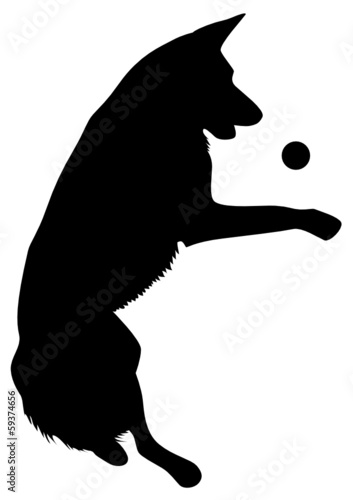 Schäferhund
