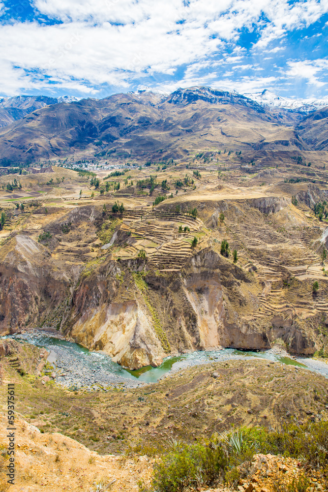 Colca Canyon, Peru,South America.Incas to build Farming terraces Colca Canyon, Peru,South America.Incas to build Farming terraces