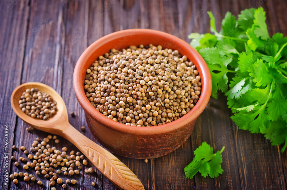 coriander coriander