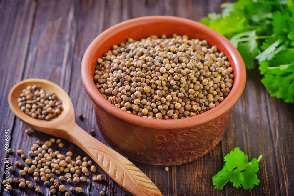 Obraz premium coriander