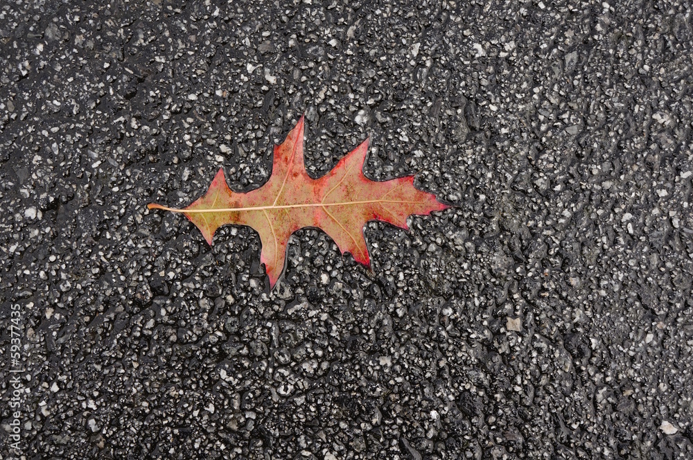 Hintergrund asphaltierte Strasse im Herbst Hintergrund asphaltierte Strasse im Herbst