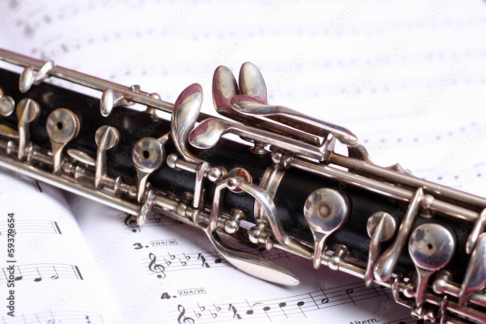 Obraz premium Oboe