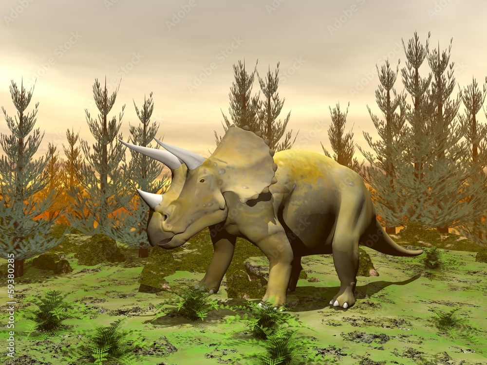 Fototapeta premium Triceratops dinosaur - 3D render
